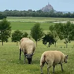 Le Mont Desclos Saint Michel Vakantiehuis *