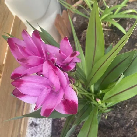 Le Mont Desclos Saint Michel *