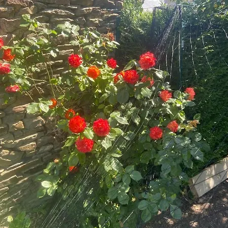 Holiday home Le Mont Desclos Saint Michel *